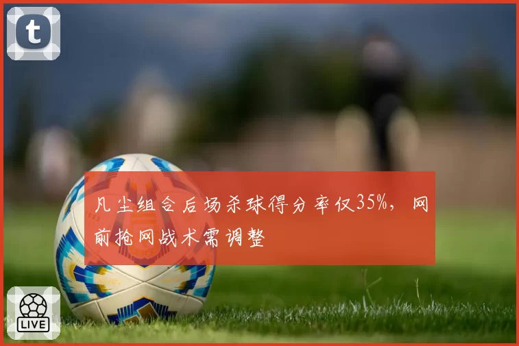 凡尘组合后场杀球得分率仅35%,网前抢网战术需调整