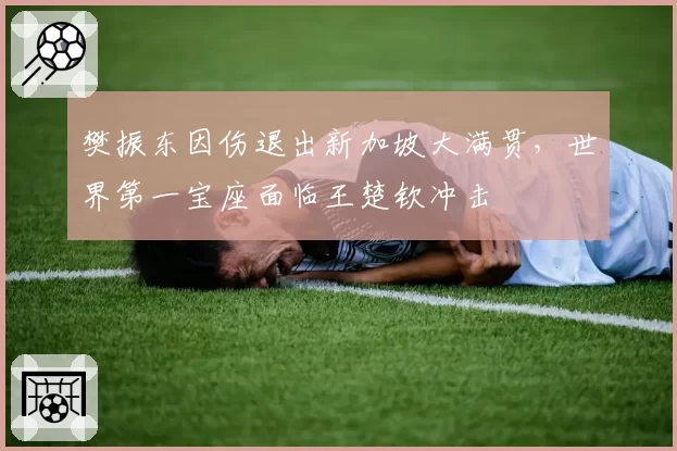 樊振东因伤退出新加坡大满贯,世界第一宝座面临王楚钦冲击