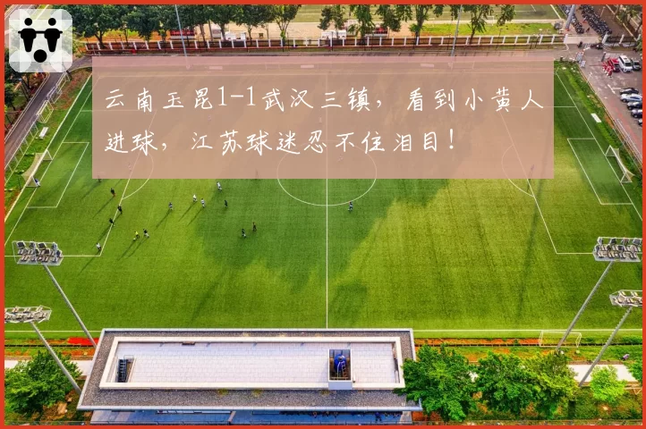 云南玉昆1-1武汉三镇，看到小黄人进球，江苏球迷忍不住泪目！