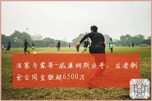 活塞与蒙蒂-威廉姆斯分手，后者剩余合同金额超6500万