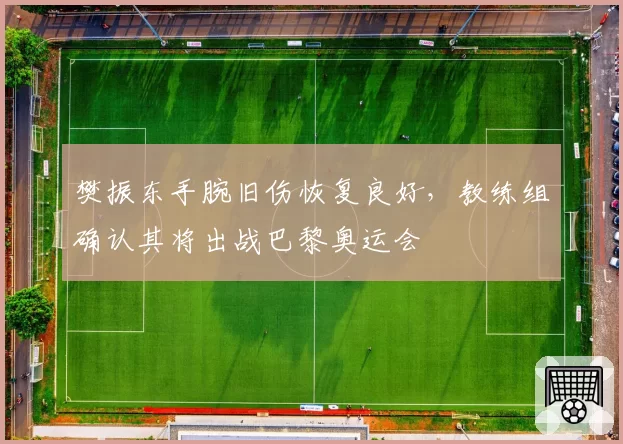 樊振东手腕旧伤恢复良好,教练组确认其将出战巴黎奥运会